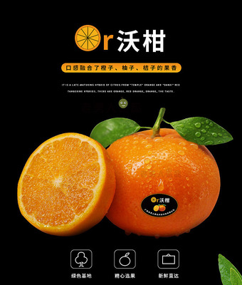 果菜新鮮到家 老男人果品沃柑包裝與蔬菜零售體驗